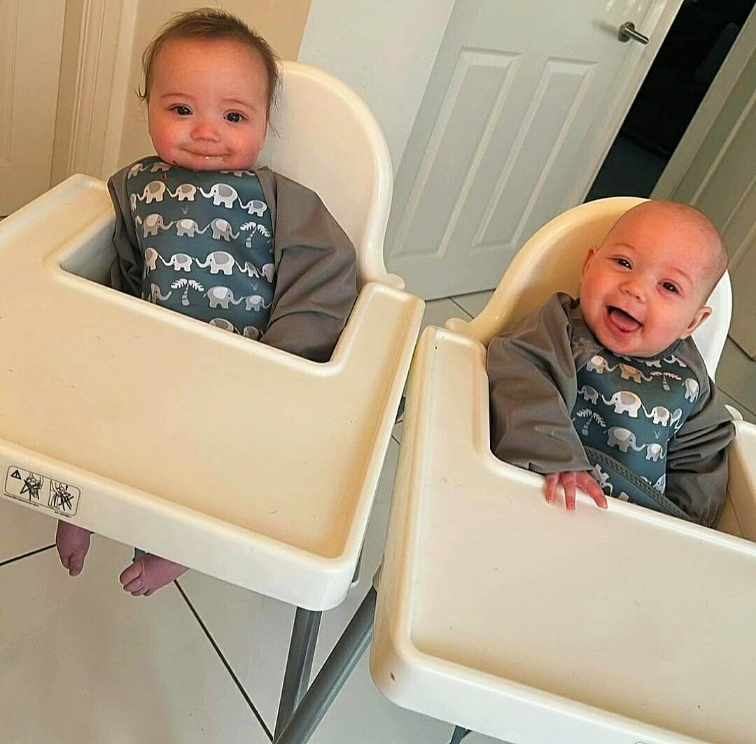 Baby-Led Weaning (BLW) or Puree Feeding