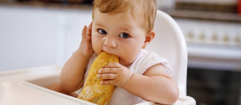 Who Doesn’t Love A Sandwich?