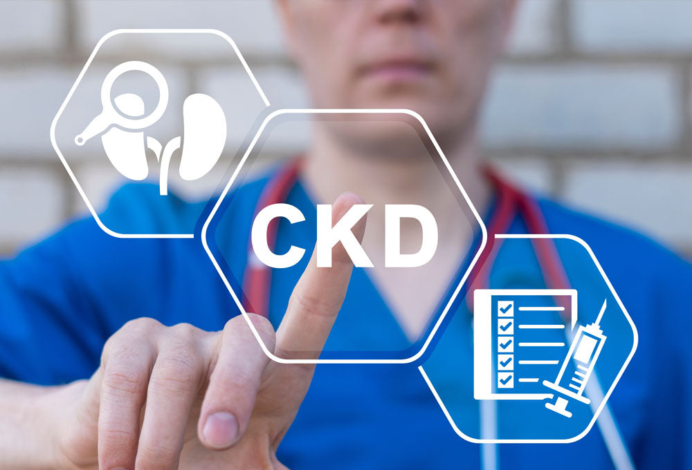 The role of diet in the treatment of chronic kidney disease.